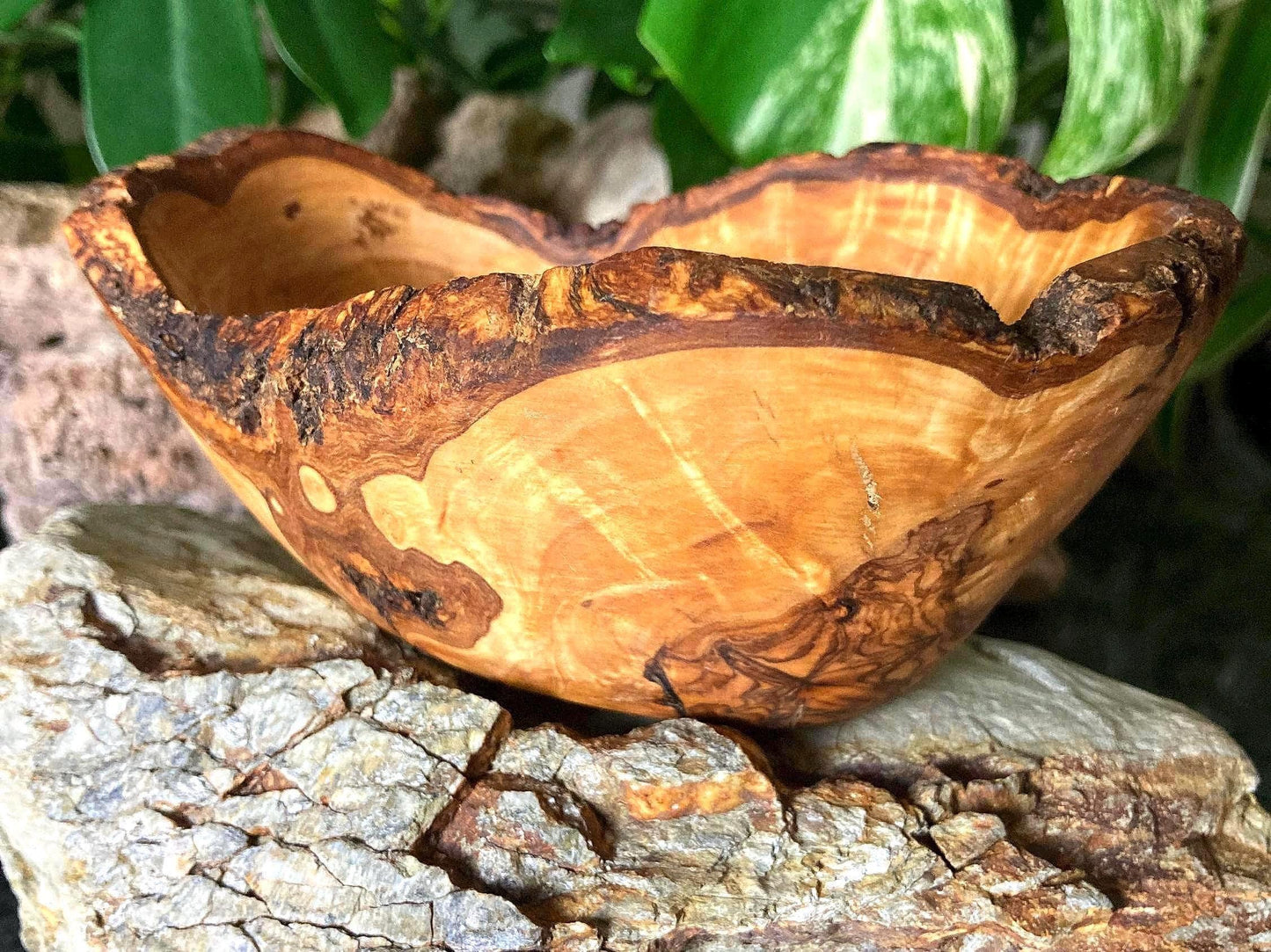 Handmade Olive Wood Soap Dishes, Oval, Self-Draining, Rustic Live Edge, Eco-Friendly Bathroom Decor, Zero Waste Gifts, Soap Holder, 16cm