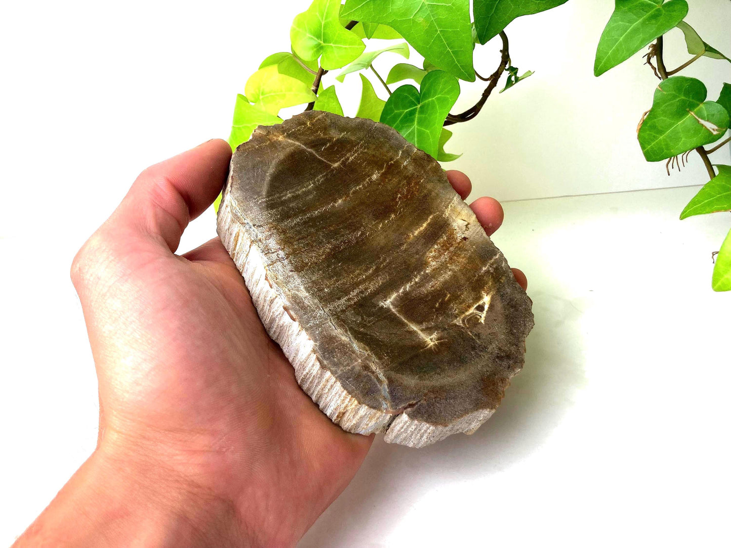 Handcrafted Petrified Wood Soap Dish, Rustic Vanity Tray, Natural Stone Bathroom Spa Decor & Gift