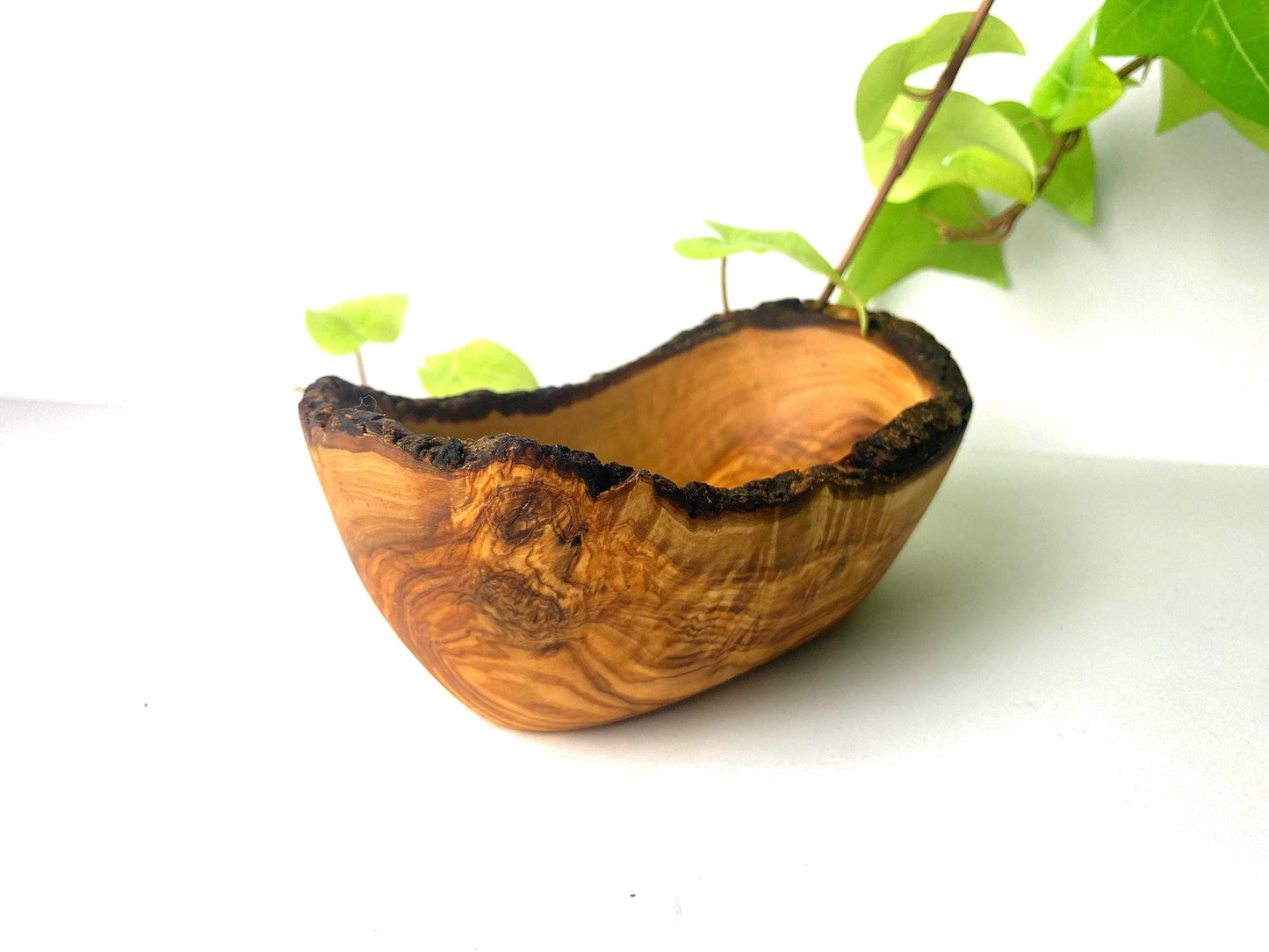 Handmade Olive Wood Bowl: Rustic Soap Dish With Live Edge, Farmhouse Decor Gift, Fruit or Nut Bowl