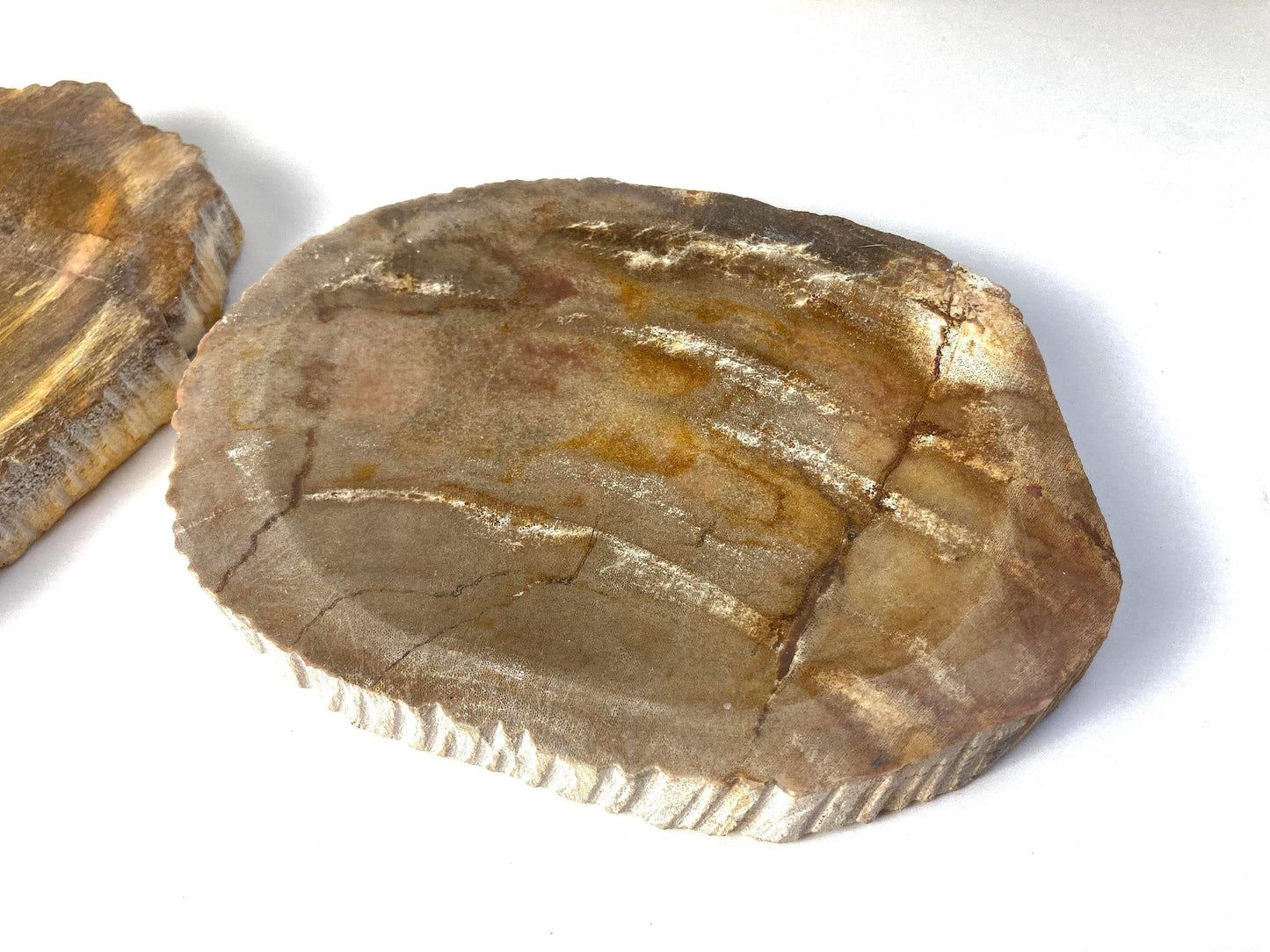 Handcrafted Petrified Wood Soap Dish, Rustic Vanity Tray, Natural Stone Bathroom Spa Decor & Gift