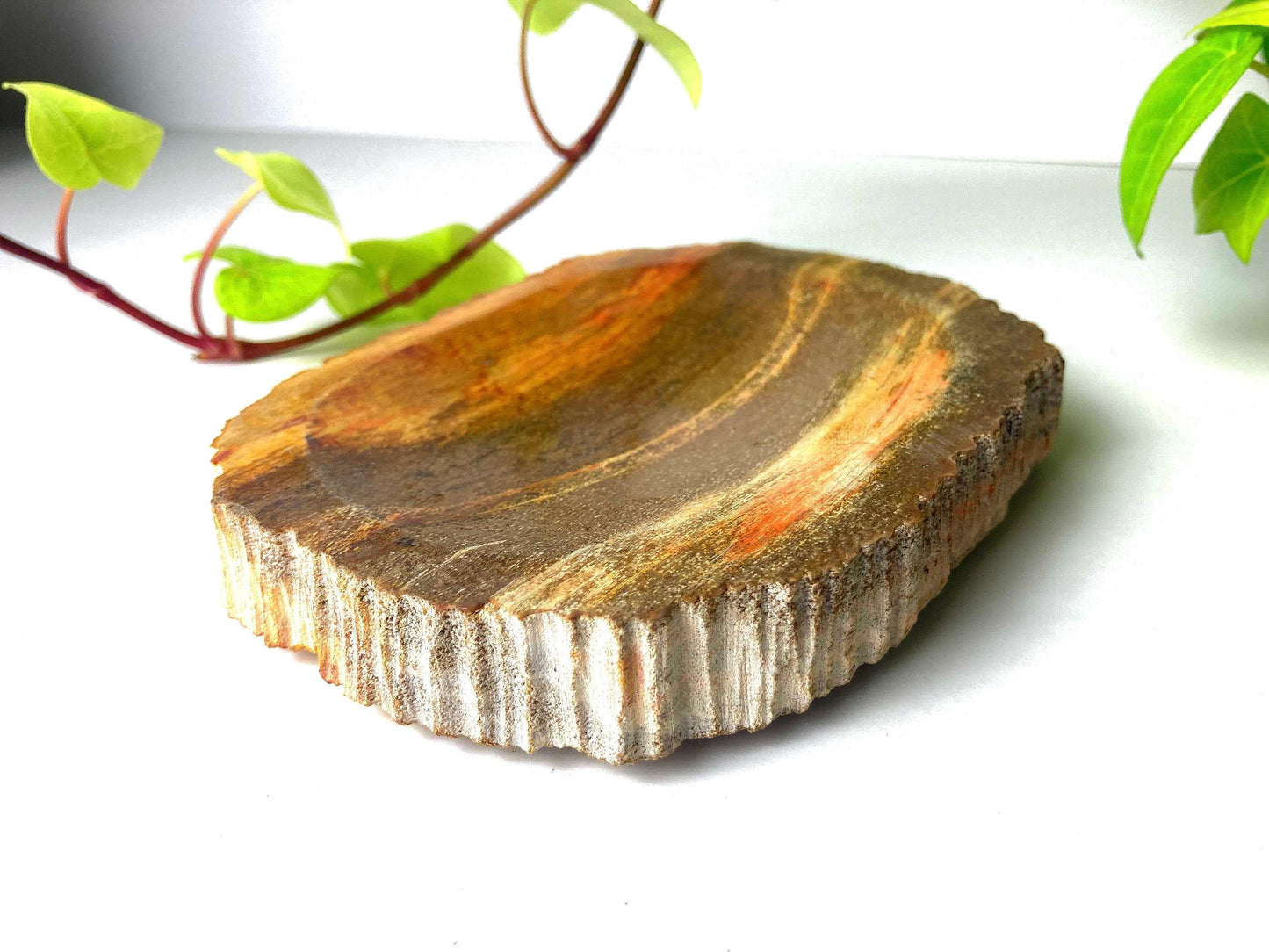 Handcrafted Petrified Wood Soap Dish, Rustic Vanity Tray, Natural Stone Bathroom Spa Decor & Gift