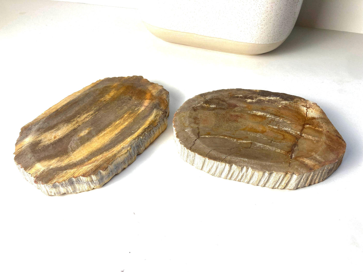 Handcrafted Petrified Wood Soap Dish, Rustic Vanity Tray, Natural Stone Bathroom Spa Decor & Gift