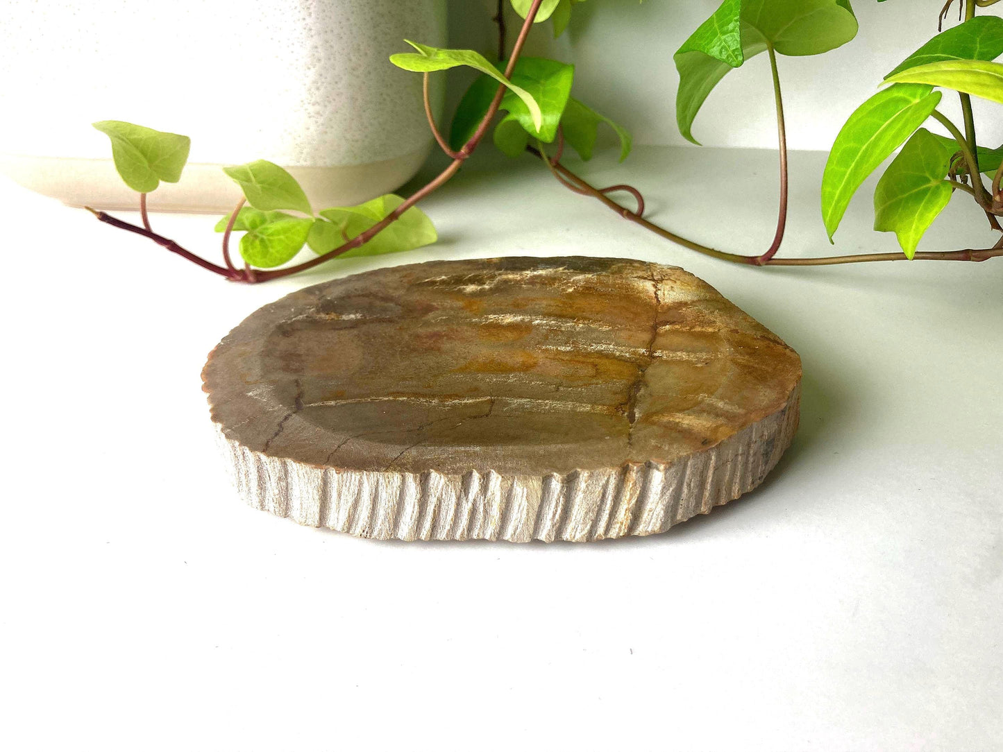 Handcrafted Petrified Wood Soap Dish, Rustic Vanity Tray, Natural Stone Bathroom Spa Decor & Gift
