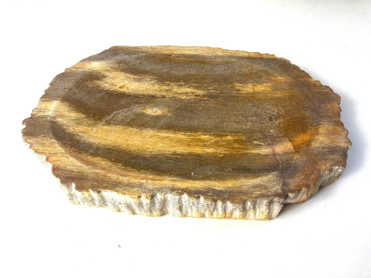 Handcrafted Petrified Wood Soap Dish, Rustic Vanity Tray, Natural Stone Bathroom Spa Decor & Gift