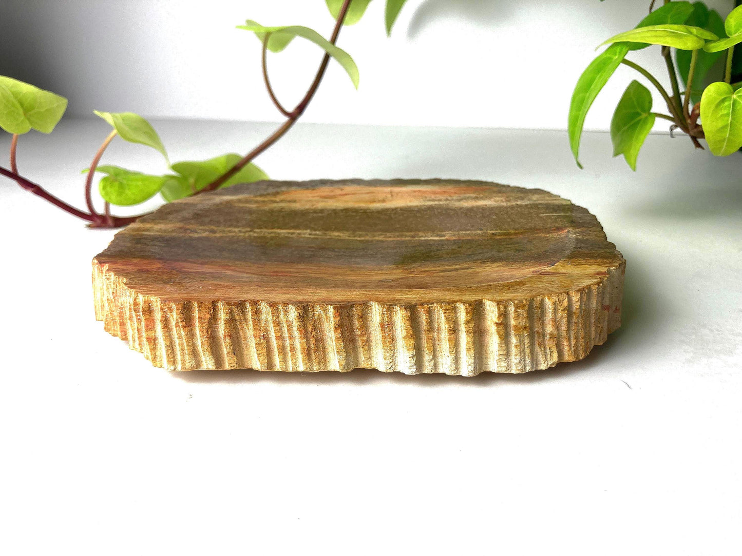 Handcrafted Petrified Wood Soap Dish, Rustic Vanity Tray, Natural Stone Bathroom Spa Decor & Gift